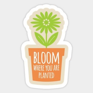 Bloom Where You Are Planted Sticker